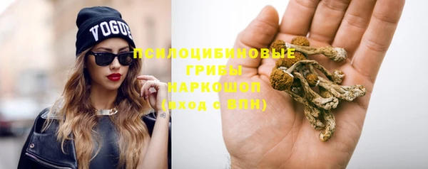 СК Щучье