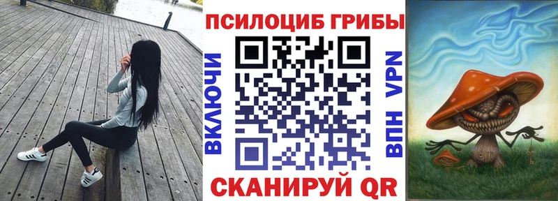 hydra как войти Городище Галлюциногенные грибы Psilocybe