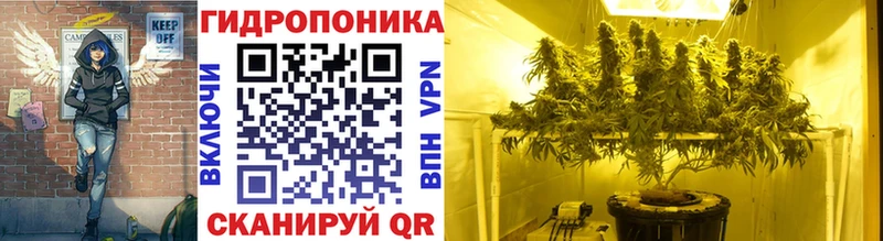 гидра зеркало  Городище  Шишки марихуана ГИДРОПОН 
